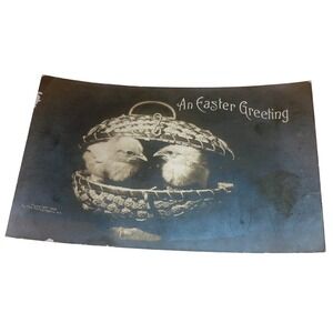 Vintage 1906 Easter Greeting Postcard Chicks in Basket The Rotograph Co NY RPPC